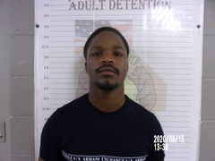 Mugshot of STAPLETON, MICHAEL  