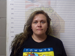 Mugshot of LAWSON, AMBER MARIE 