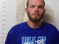 Mugshot of LARISH, DYLAN