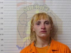 Mugshot of BROWN, RACHEL M 