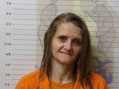 Mugshot of WILLIAMS, AUDREY NICOLE 