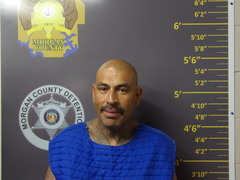 Mugshot of ARIAS, JOHNNY V 