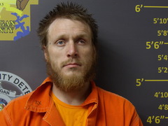 Mugshot of HENRY, CROSBY W 